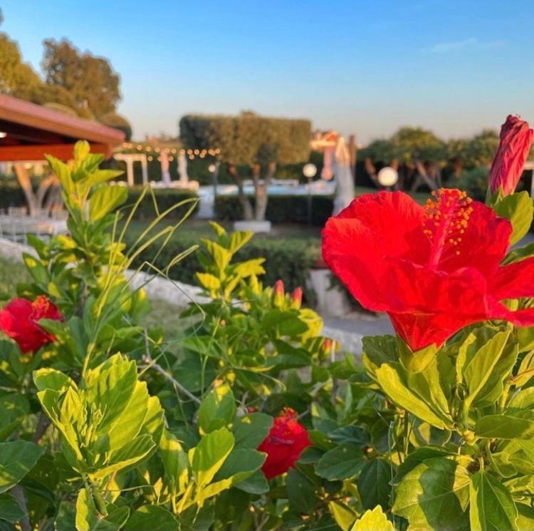 Villalessandra Civitavecchia Buitenkant foto